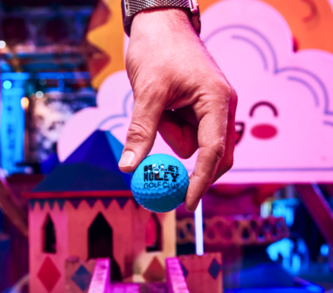Holey Moley Mini Golf