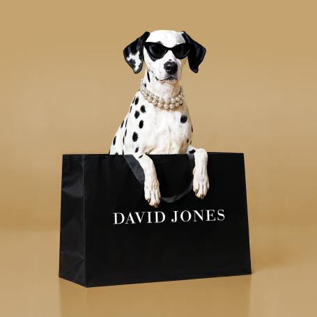 David Jones Rewards Program Tile