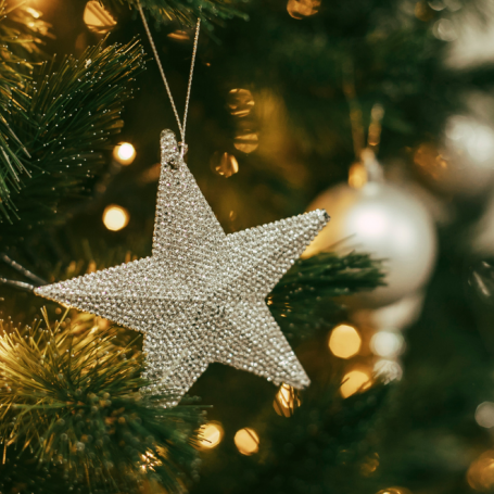 Silver star ornament